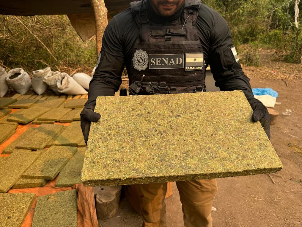 Ambas incursiones resultaron claves para desmantelar la operación de producción y tráfico de marihuana. Foto: Gentileza 