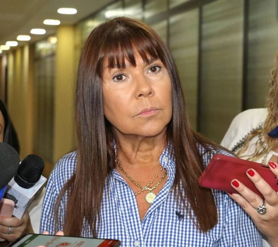La senadora Celeste Amarilla sostuvo que su colega Luis Pettengill cuenta con incompatibilidades para seguir ejerciendo la función de parlamentario. Foto: Gentileza