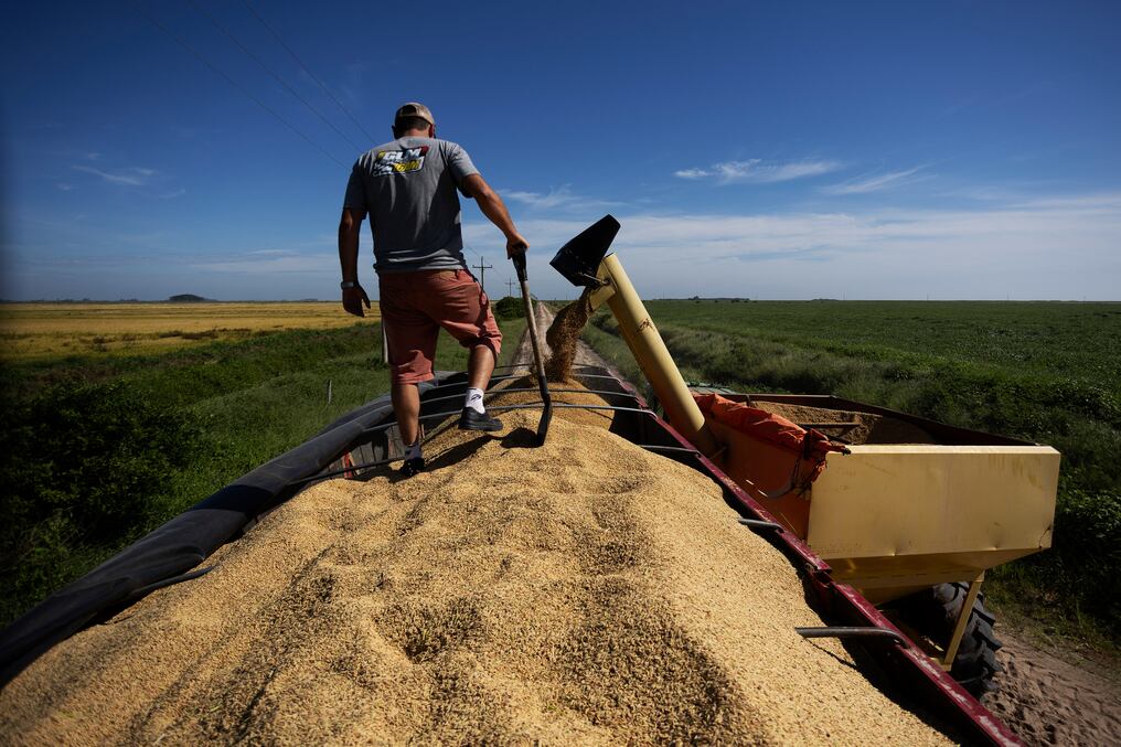 Paraguay podrá exportar sin cargas arancelarias varios productos de rubros industriales. Foto: Silvio Avila/AFP