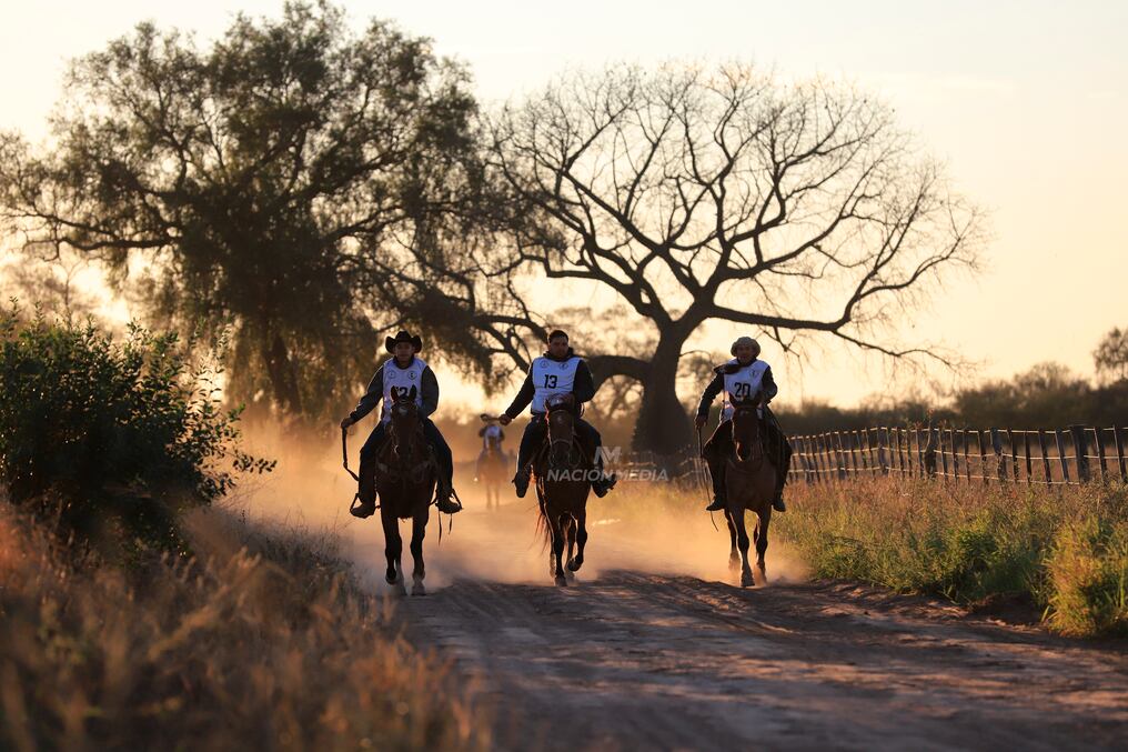Con 17 caballos en competencia de los 22 que iniciaron, la carrera final del domingo promete ser muy competitiva por las buenas condiciones que presentan los animales. Foto: Carlos Juri