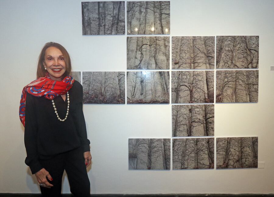 Alejandra Mastro expone sus obras recientes en K/ Espacio de Arte y Naturaleza