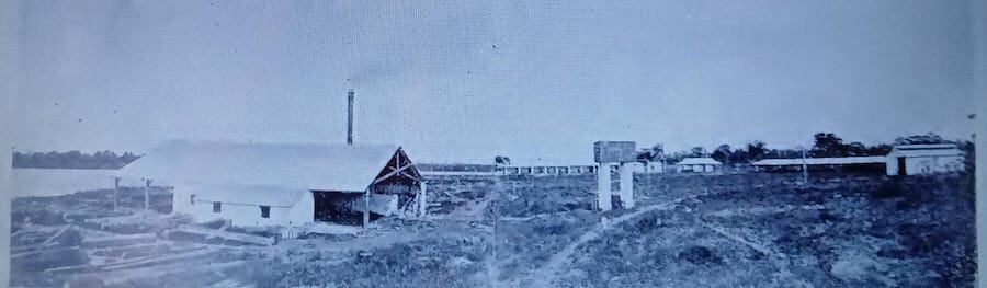 El obraje era el reglón principal de La Forestal del Paraguay S. A.