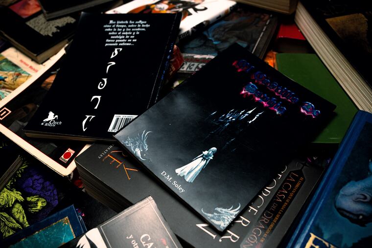 “El Castillo de Sofía, novela oscura de David Soley. Foto: Gentileza