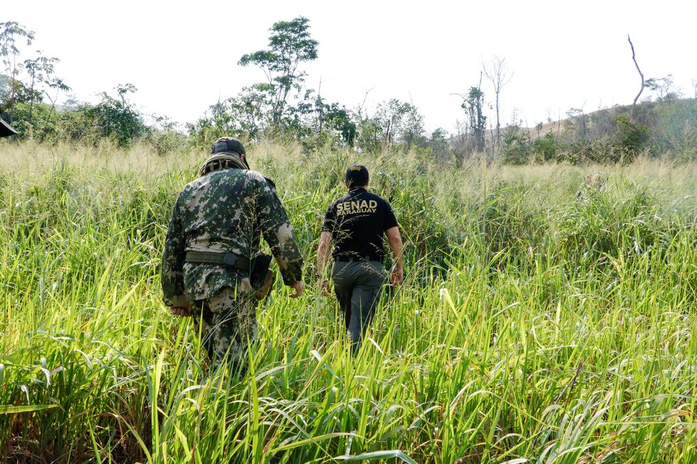 “Nueva Alianza 45″ se encuentra en el octavo día de desarrollo y seguirá por algunos días más. Foto: Senad
