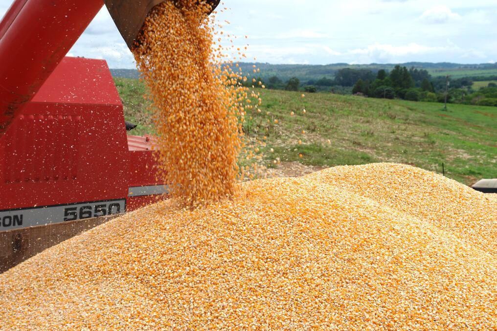 La agencia de noticias marroquí Maghreb Arabe Presse (MAP) destacó la capacidad de Paraguay para responder ante la demanda mundial en torno a la producción de alimentos. Foto: Gentileza