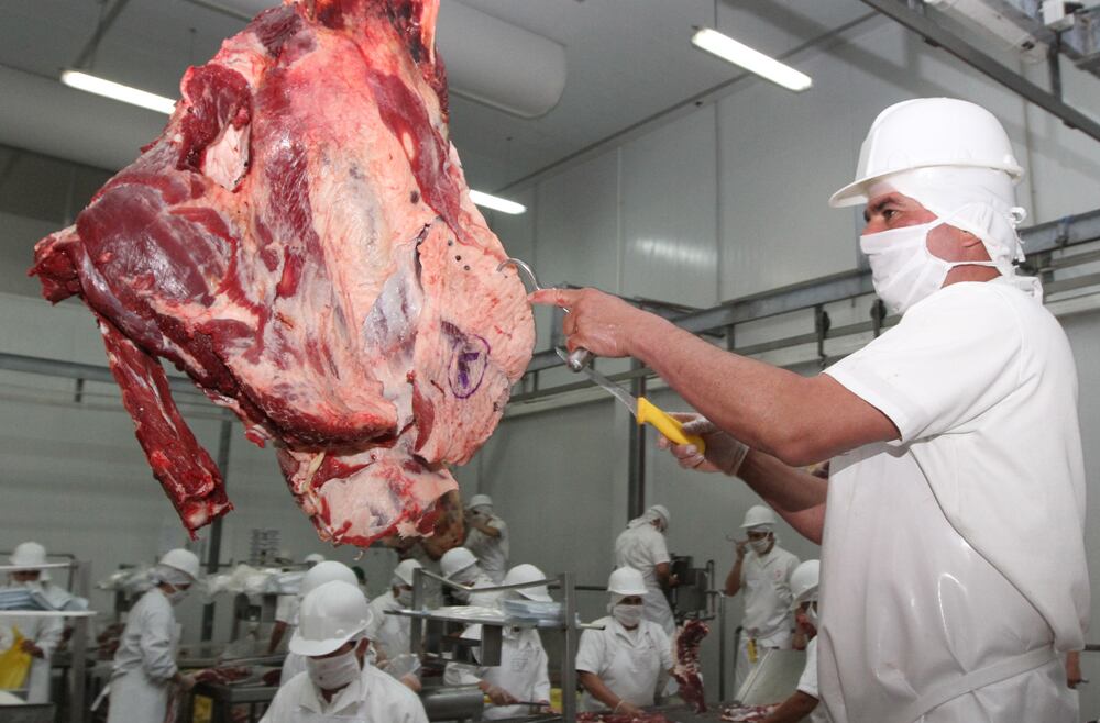 En diciembre del año pasado, Paraguay concretó el primer envío de carne bovina a Estados Unidos. Fueron exportados 23.500 kilos de carne. Foto: Gentileza