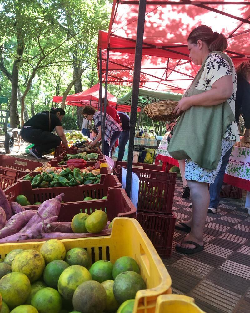 La feria promueve la soberanía y la seguridad alimentaria, destacando la importancia de cultivar y consumir productos locales y sostenibles. Foto: Gentileza