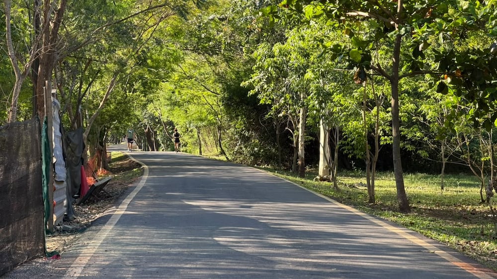 El ingeniero Luis Recalde, ambientalista y divulgador de la naturaleza paraguaya, guiará el recorrido por los ecosistemas del parque. Foto: Gentileza