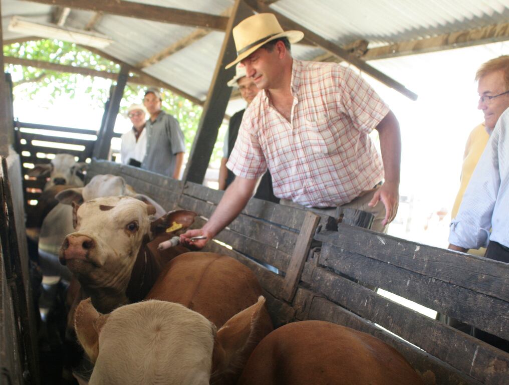 Las acciones constituyen una estrategia fundamental para el cumplimiento de los objetivos de los programas de erradicación de ambas enfermedades, refirieron desde el organismo veterinario. Foto: Archivo
