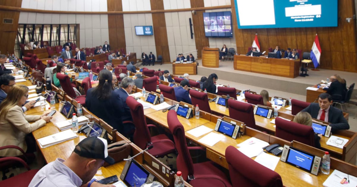 Cámara de Diputados solicita al Ejecutivo mejorar asistencia a afectados por crecida del Paraná