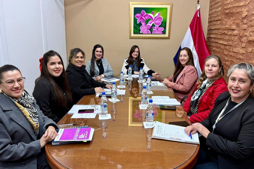 La comisión aboga por la aprobación del proyecto. Foto: Gentileza