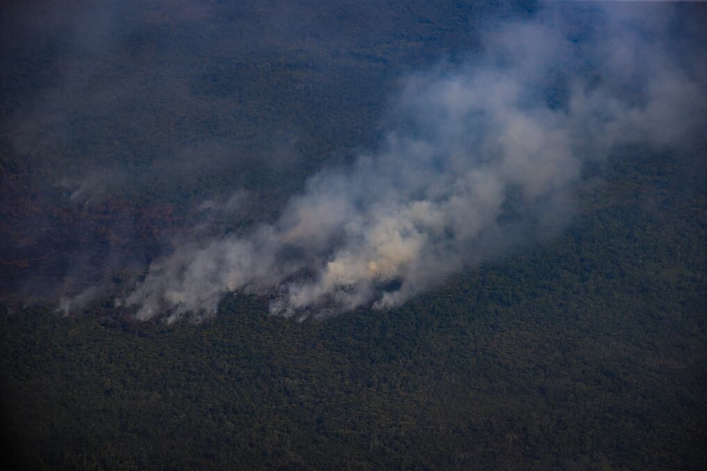 El fuego avanza en el bosque protegido de Alto Mayo en la región de San Martín. Foto: AFP