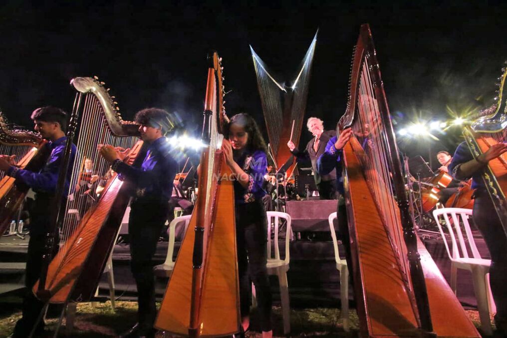 Este domingo se conmemora el Día del Arpa Paraguaya. Foto: Néstor Soto