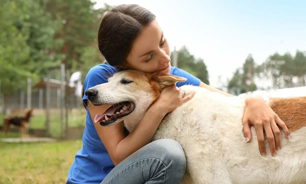 Hablar con las mascotas es un reflejo de la inteligencia, según la ciencia. Foto: Pexels