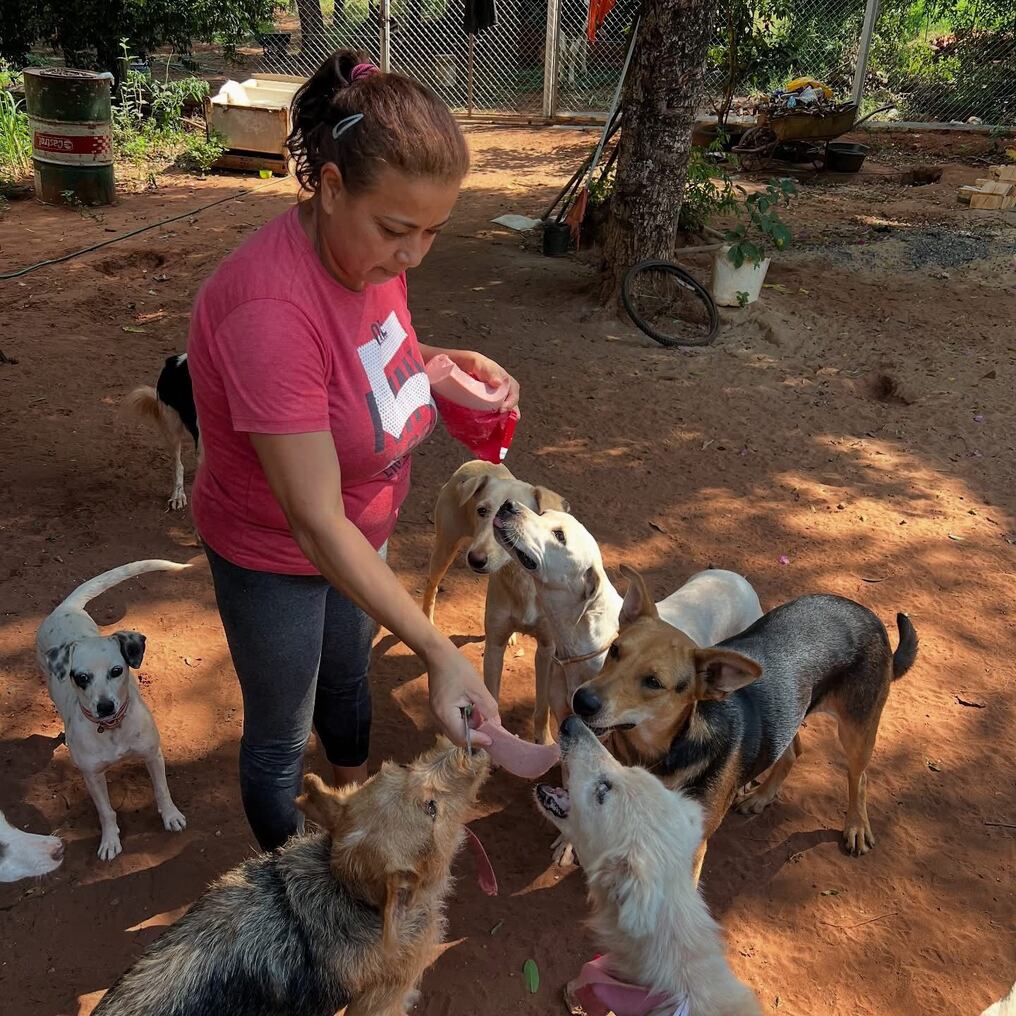 Ña Eugenia cedió su terreno para el refugio. Foto: Gentileza