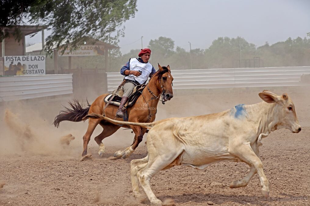 La competencia de doma de este año contó con un juez brasileño y otro uruguayo, quienes reconocieron el nivel mejorado tanto de caballos como de jinetes. Foto: Carlos Juri