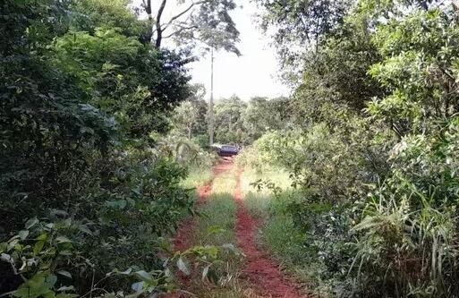 La camioneta 4x4 fue robada ayer jueves tras la ejecución de seis trabajadores de una estancia. Foto: Gentileza