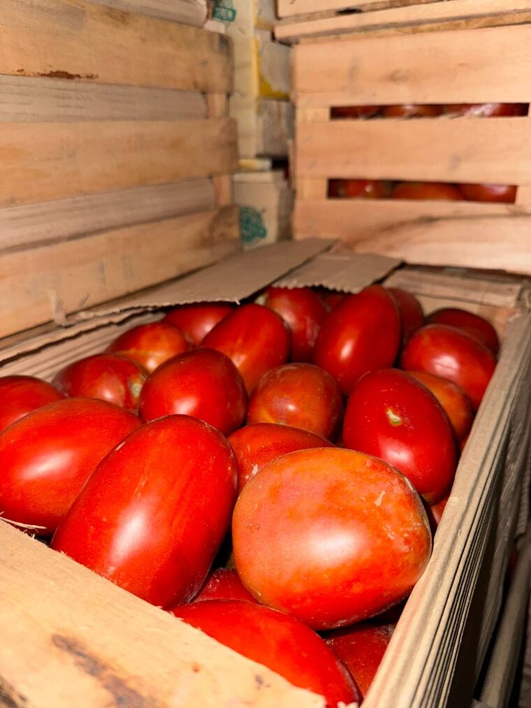 Mercado de Abasto: incautan casi 5 toneladas de tomate de contrabando