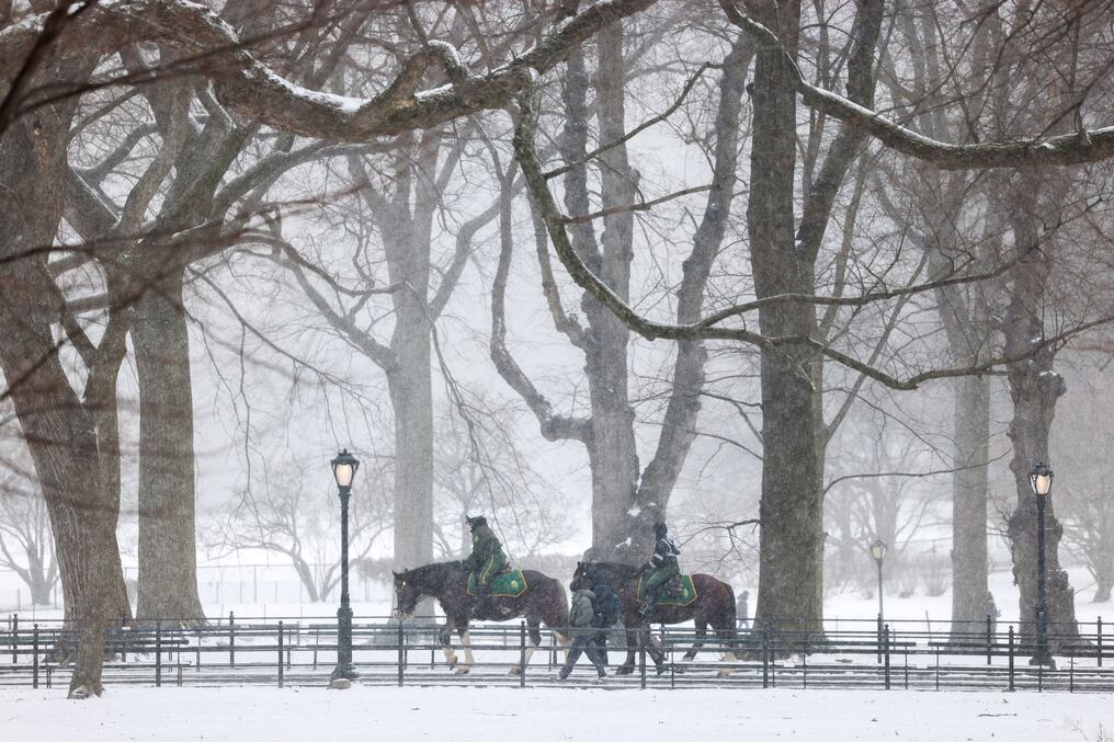 Agentes en el Central Park de Nueva York; este fin de semana pronostican menos un grado y hasta 7 centímetros de nieve. Foto: AFP