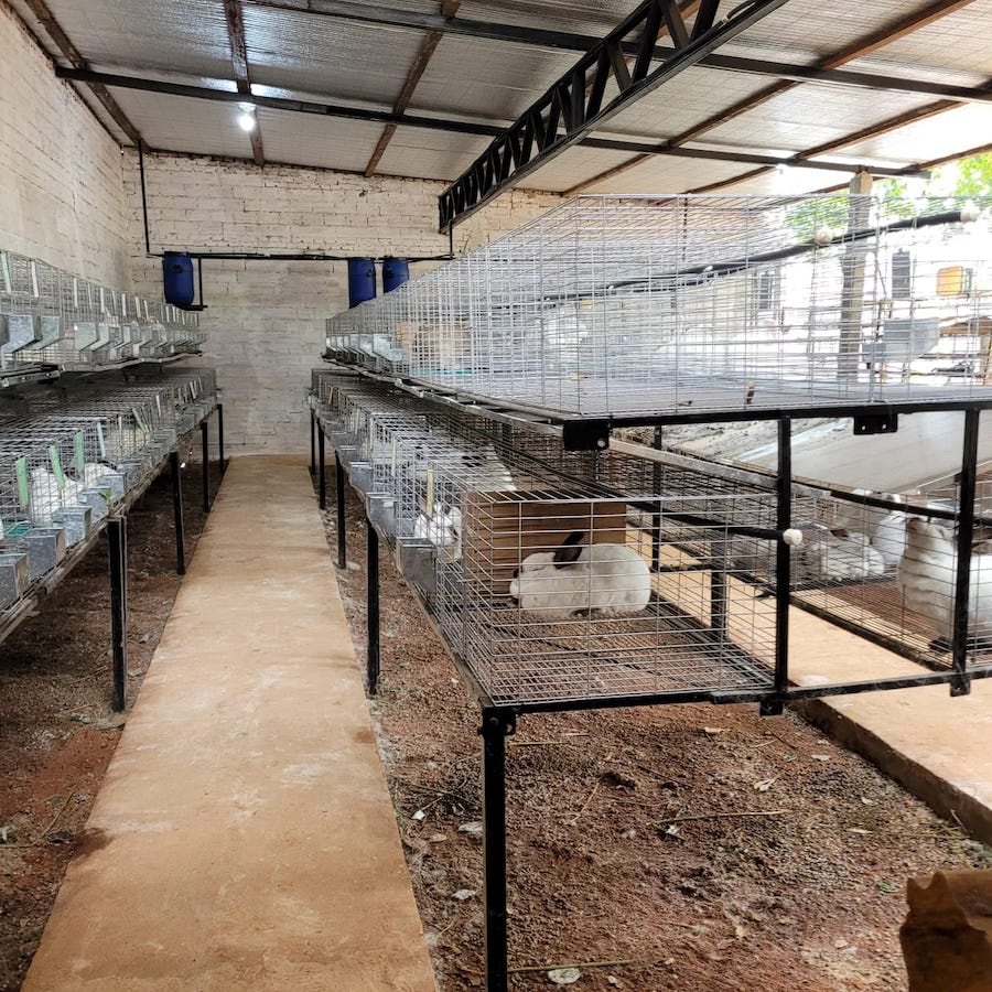 Se estima que se produce entre 4.000 y 5.000 kilos de carne al año para la venta interna, según el gremio.FOTO: GENTILEZA