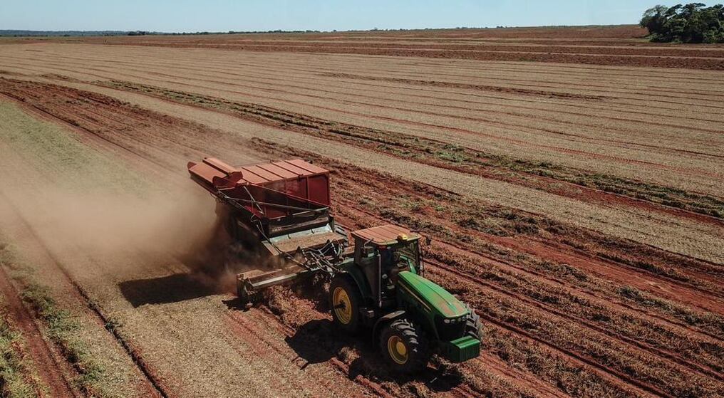 En conjunto, ambas empresas conforman el mayor grupo posicionador del grano en nuestro país en mercados internacionales durante los últimos cuatro años. Foto: Gentileza