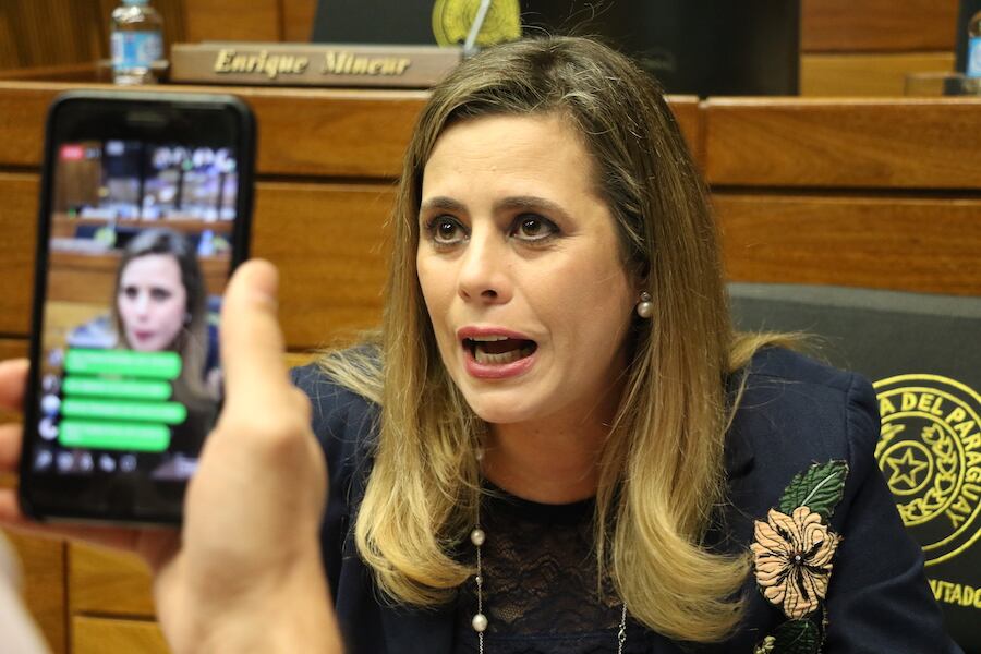 Este martes fue presentado oficialmente en el Congreso Nacional el pedido de pérdida de investidura de la legisladora del PEN. Foto: Archivo