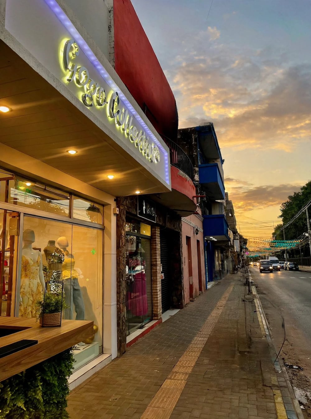 La emprendedora considera que escuchar al consumidor e innovar constantemente permite identificar nuevas oportunidades comerciales. Foto: Gentileza