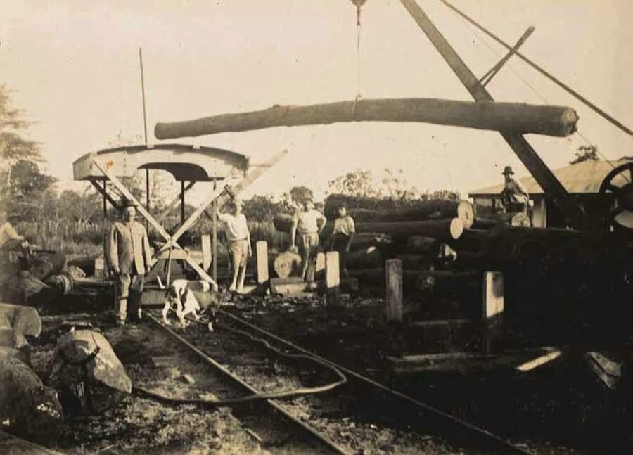 Maquinaria a vapor para despuntar y trocear la madera en Puerto Ybapobó (1922)