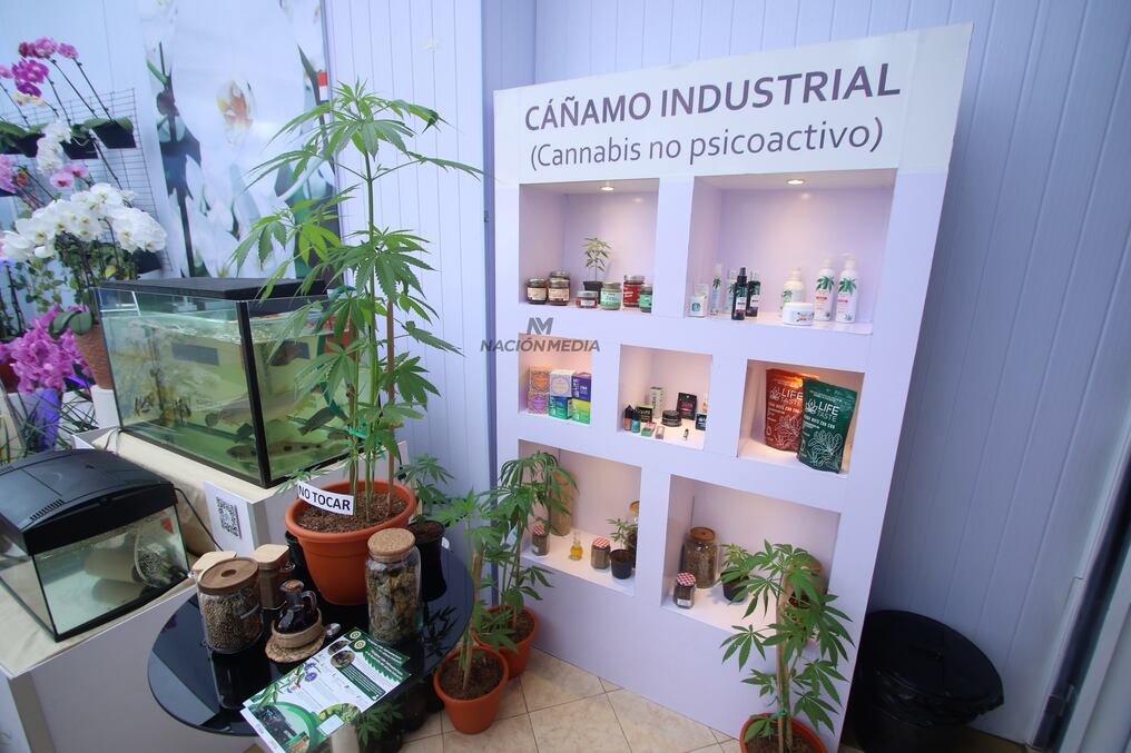 En el marco de la Expo de Mariano Roque Alonso, el MAG expone todos los avances del rubro y las opciones para industrialización. Foto: Emilio Bazán