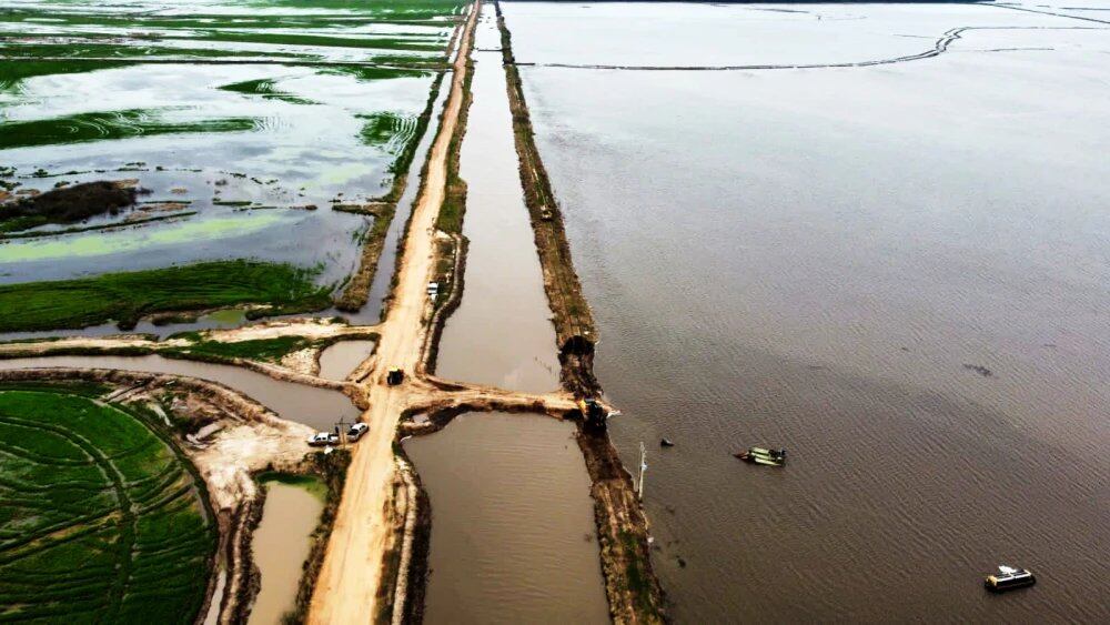 Los arroceros todavía no pueden cuantificar el daño producido, pues hay varias plantaciones en diferentes procesos, pero se habla de al menos 80.000 hectáreas con un daño inminente. Foto: Gentileza