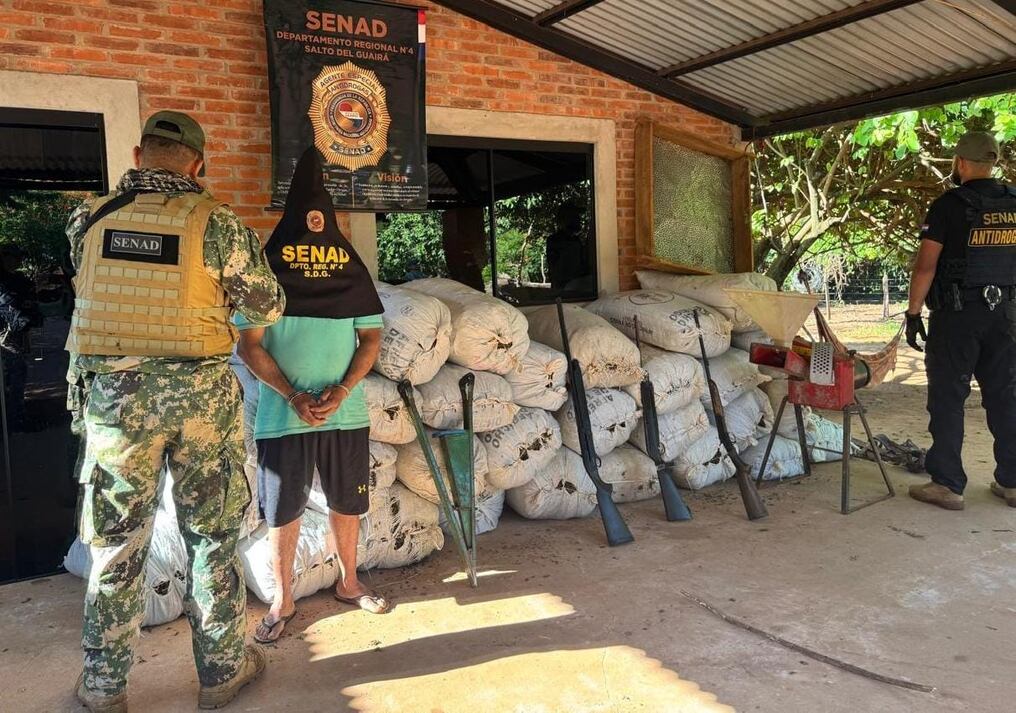 Durante el despliegue en las diferentes propiedades se logró la incautación de un total de 7.387 kilos de marihuana lista para la distribución. Foto: Gentileza 