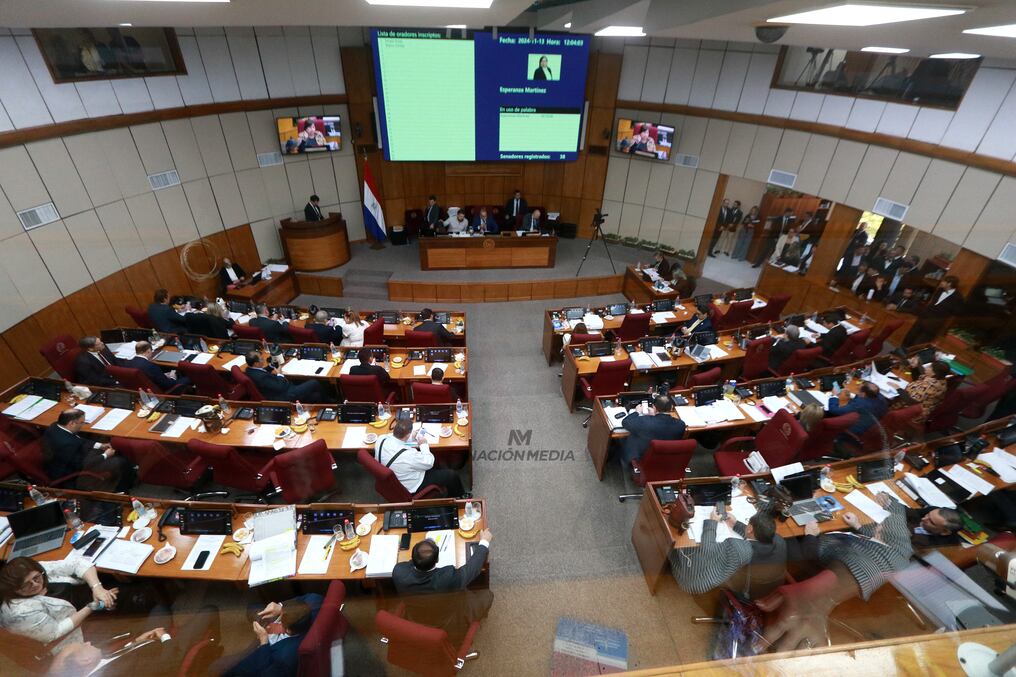 El proyecto de desafectación tuvo modificaciones y vuelve a la Cámara de Diputados, donde tuvo origen, para una segunda vuelta. Foto: Matías Amarilla