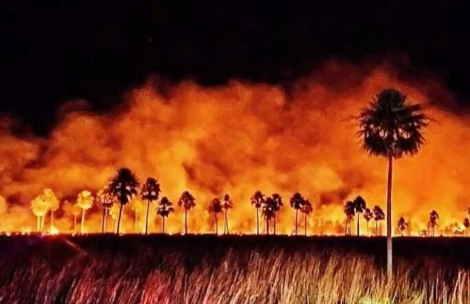 Los incendios afectaron grandes extensiones y amenazaban con llegar a la zona urbana. Foto: Captura de video