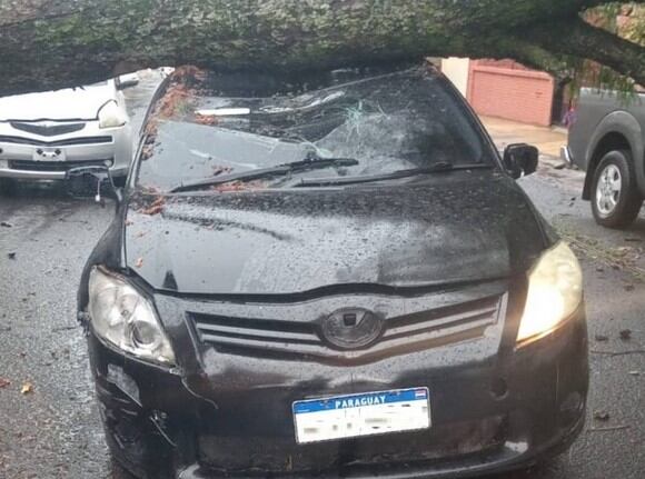 En este vehículo de plataforma viajaban dos personas, el chofer sufrió lesiones y su pasajero salió ileso. Foto: Gentileza