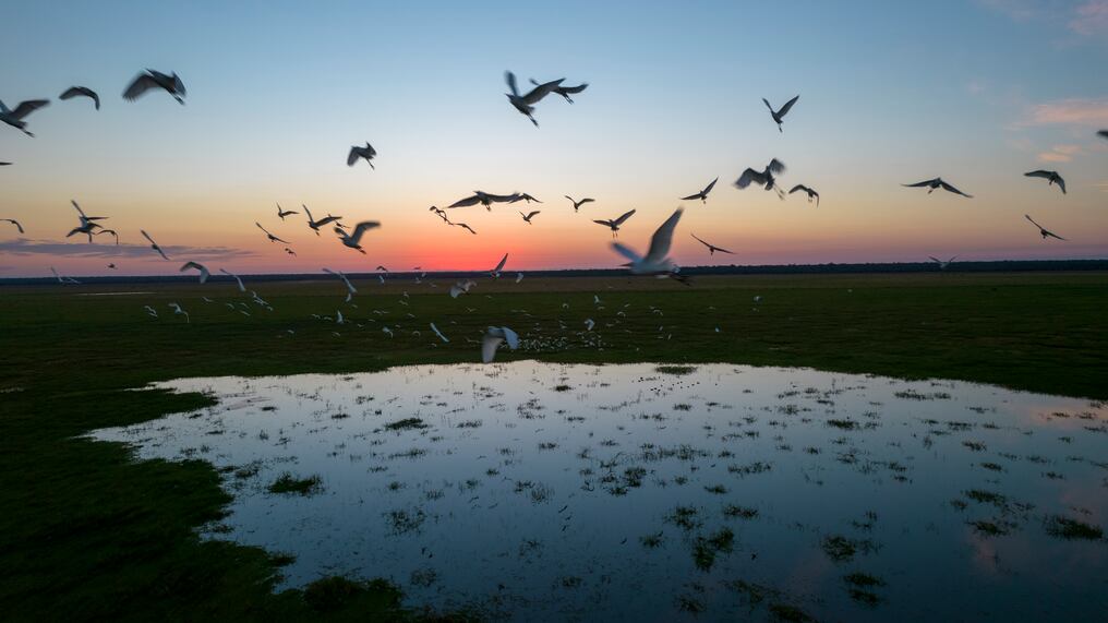 El titular del Mades, Rolando De Barros destacó que en el marco de la celebración de la Semana del Medio Ambiente, están lanzando la actualización de la política ambiental, después de 18 años. Foto: Gentileza