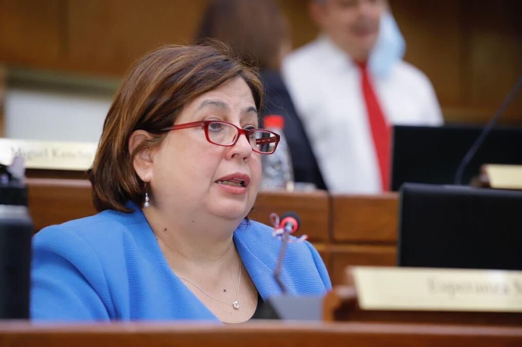 La senadora Esperanza Martínez adelantó que, desde los sectores progresistas, están instalando un intenso debate con el objetivo de presentar una propuesta mejor estructurada a mediados de febrero. Foto: Gentileza