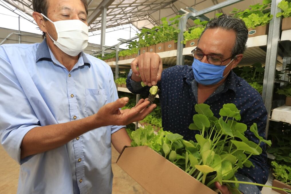 La segunda entrega se realizará a raíz de la extensión de la cuarentena y la alta demanda por parte de los pequeños productores. Gentileza.