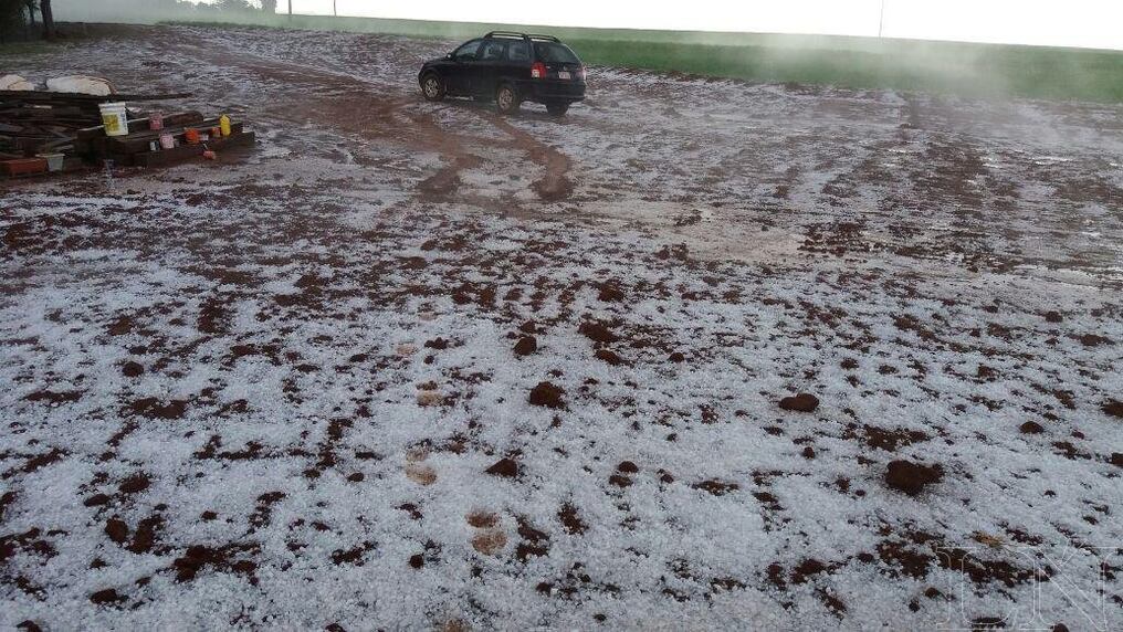 Los productores calificaron de un fenómeno raro la granizada que duró 10 minutos.