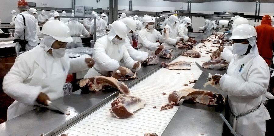 La exportación de carne bovina permitió un ingreso de divisas de US$ 86,7 millones en el primer mes del año.