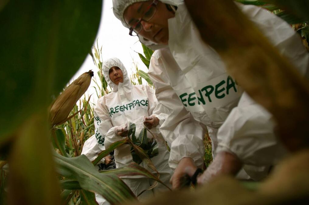 Los laureados exigen a Greenpeace a reconocer las conclusiones científicas competentes.