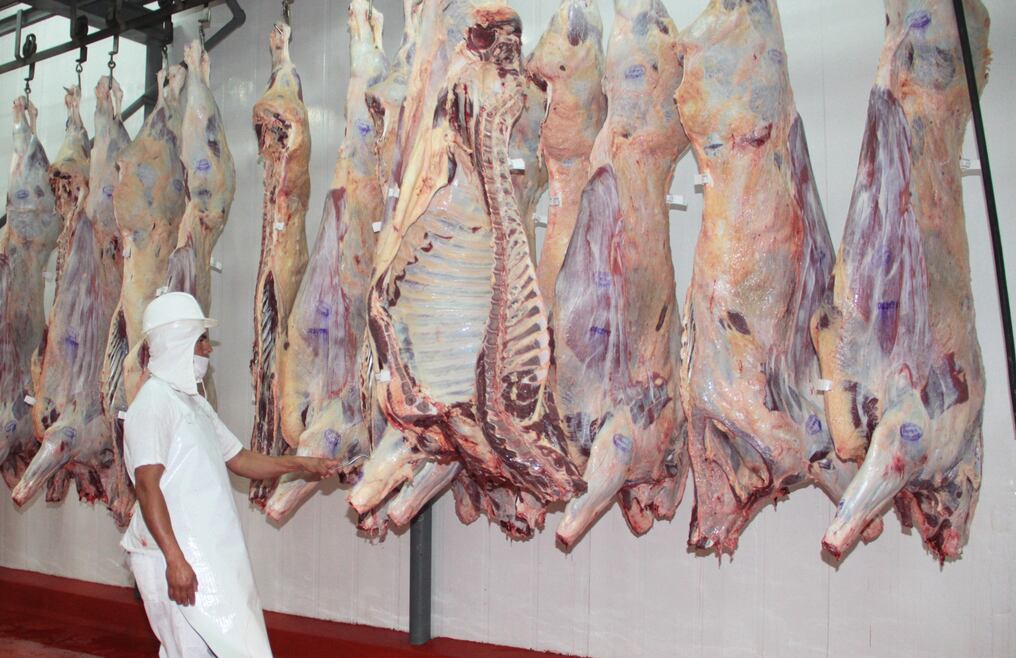 Paraguay se mantuvo como el segundo mayor exportador de carne bovina del Mercosur con 270 mil toneladas peso embarque.