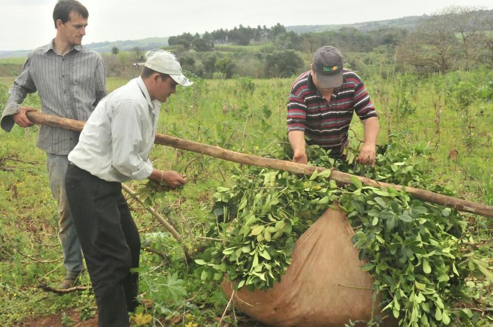 La disidencia y la oposición estarían en contra de otorgar el aumento. Foto: Gentileza.
