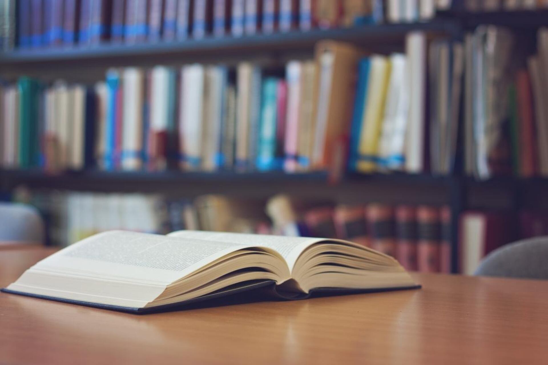 ¿Qué leer?