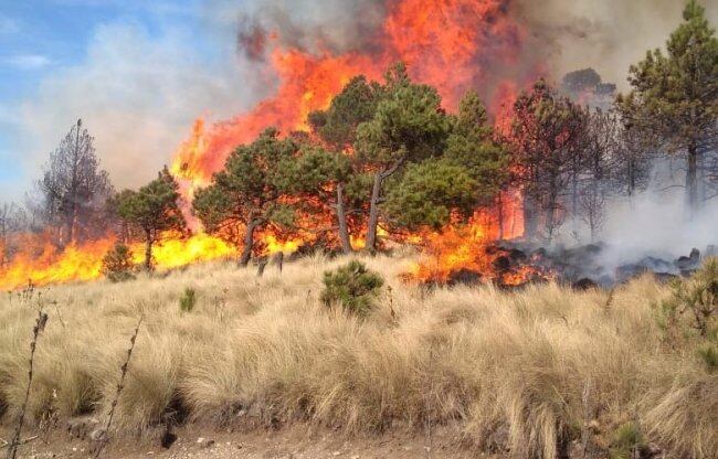 Los incendios persisten en el departamento de Santa Cruz, en los poblados de San Ignacio de Velasco, San Matías y Concepción, donde se encuentra el más grande.