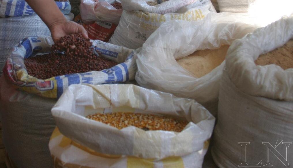 FAO estableció el 2016 como el  Año de las Legumbres. Foto: Osvaldo Escobar.