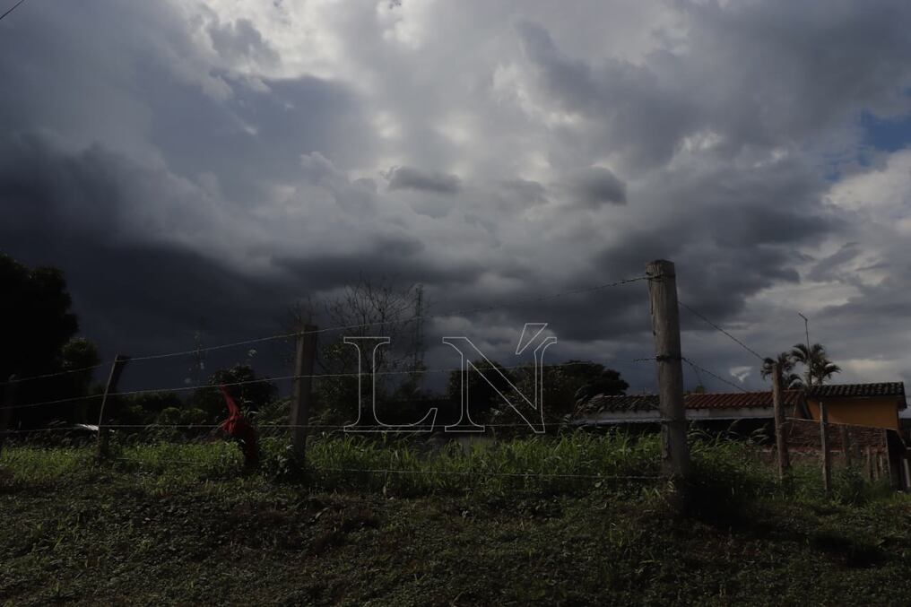 Foto: Eduardo Velázquez.