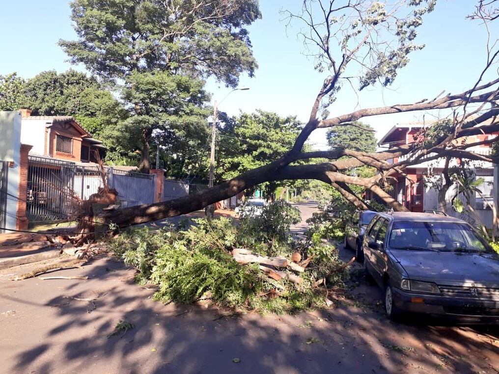 Durante la noche del sábado los funcionarios trabajaron en zona del Mercado 4. Foto: Municipalidad de Asunción