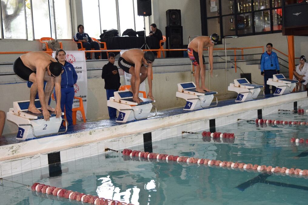 Aspecto de la jornada clasificatoria de natación de Olimpiadas Especiales Paraguay (OEP). FOTO: Prensa OEP
