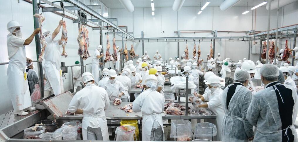 La capacidad instalada de las industrias frigoríficas ascenderá a 2,5 millones de cabezas anuales, según el informe de la CPC y el USDA.