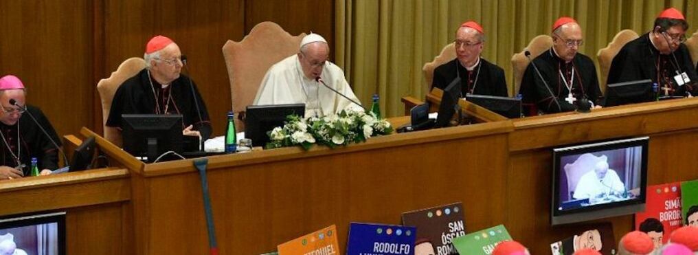 En total, son 13 miembros de la Comisión de Redacción del documento final del Sínodo Panamazónico: cuatro del Vaticano, dos de Brasil, dos de Perú, y un representante de Austria, Bolivia, Colombia, Italia y Paraguay, según la revista digital Vida Nueva.